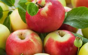 Image result for fruits