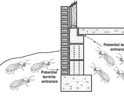 Gambar technician injecting termiticide into the ground around an existing house, demonstrating postconstruction termite treatment