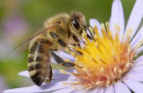 Drei gute Nachrichten für mehr Optimismus