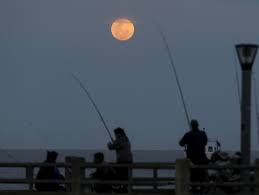 ¡Imperdible! La Última Superluna Así Hasta 2042 Iluminará Santa Fe