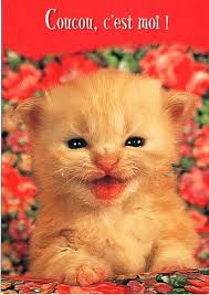 Résultat de recherche d'images pour "bonne journée"