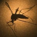  Swatting at mosquitoes may help you avoid bites, even if you miss