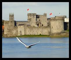 Image result for st john's castle limerick