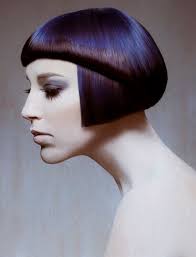by Nick Stenson Statement Hair Color Idea - sal_misseri_purple_hair_color