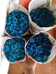 Image result for karangan bunga mawar biru