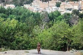 زن جوان، شاکی پژمان جمشیدی، سکوتش را شکست