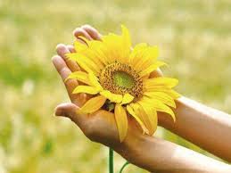 Резултат слика за cvet