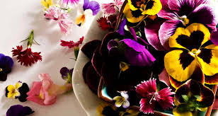 Resultado de imagem para flores comestíveis