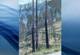 Castanet - News update