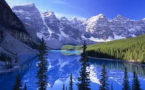 Image result for Amazing HD Nature Wallpapers For Desktop