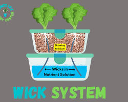 Wick Hydroponic System