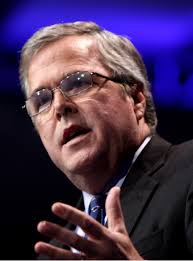 Image result for jeb bush