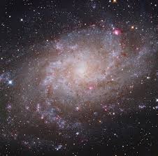 Image result for galaxy m33