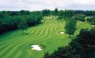 Forest pines golf course green fees