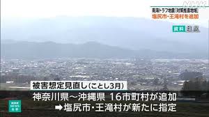 NHK - News update