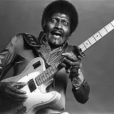 Albert Collins - Honoring Black History – Elderly Instruments