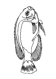 fish coloring pages ile ilgili görsel sonucu
