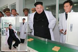 Image result for South Korea claims North hacked nuclear data