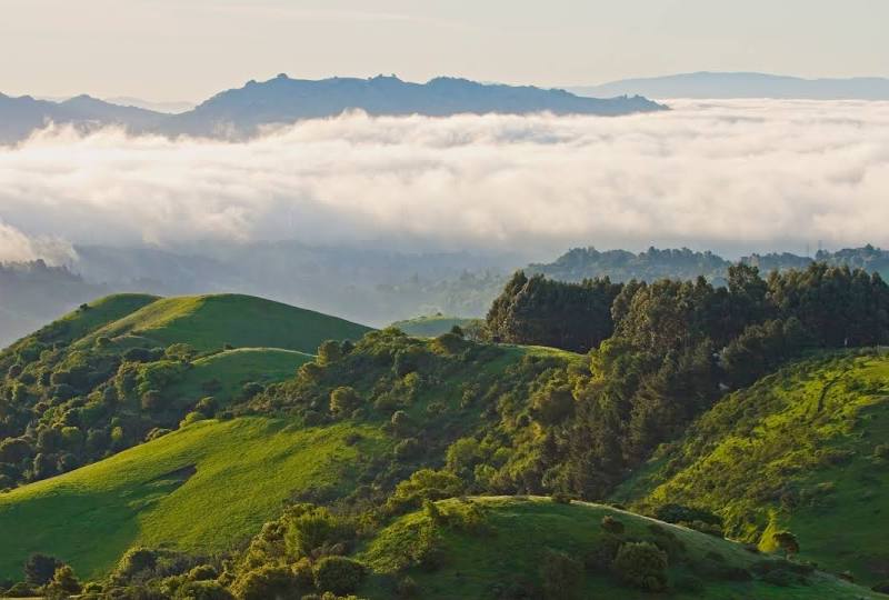 Tilden Regional Park