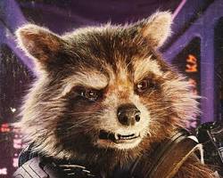 Rocket Raccoon Guardians of the Galaxy character resmi