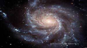 Image result for cartwheel galaxy