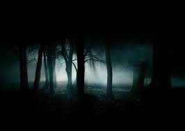 Image result for spooky forest