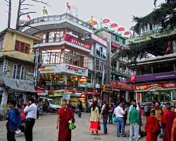 Image of Mcleodganj Market, Mcleodganj