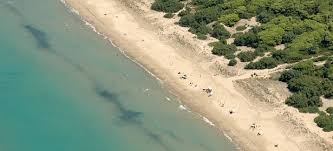 Risultati immagini per isola di varano spiaggia