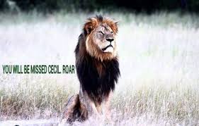 Image result for cecil lion