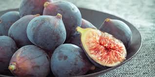 Resultado de imagem para fig wasps in florida