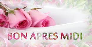 Résultat de recherche d'images pour "bon après midi"