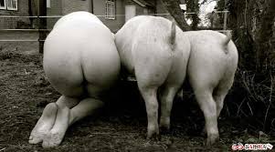 images?q=tbn:ANd9GcTF4xSjtcEsqszK6DJbfiT0tZ8N5BuScwT3cohR_bxZebu09UTKoA