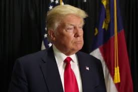 Image result for Trump July 2016