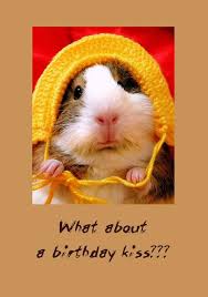 Image result for funny birthday