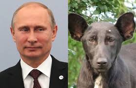 Image result for vladimir putin