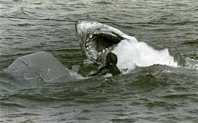 Bruce (Hàm Cá Mập) vs Brucette (Hàm Cá Mập 2). Con cá mập ...