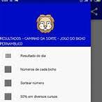 resultado do jogo do bicho da caminho da sorte