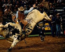 Image of Bull riding