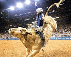 Image of Houston Livestock Show & Rodeo