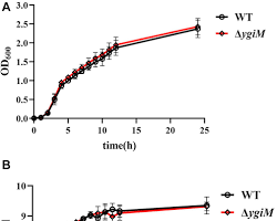 Image of graph comparing the virulence of wildtype and FadA knockout strains