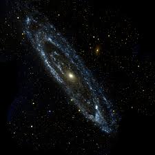 Image result for m91 galaxy