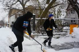 Image result for parts of a shovel show