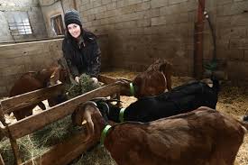 News source: Le Dauphiné Libéré