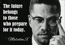 Malcolm X Quotes On Democrats. QuotesGram via Relatably.com