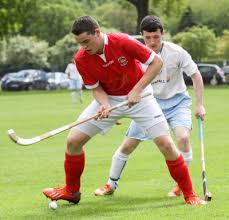 Résultat de recherche d'images pour "shinty"