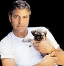O George Clooney έγινε 53 χρονών...  