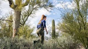 Search for Nancy Guthrie: Latest expert insights on the ongoing investigation