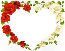 Résultat de recherche d'images pour "fleur rouge"