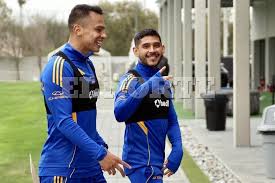 A dar la cara, Tigres