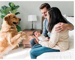 family with a baby and a petの画像